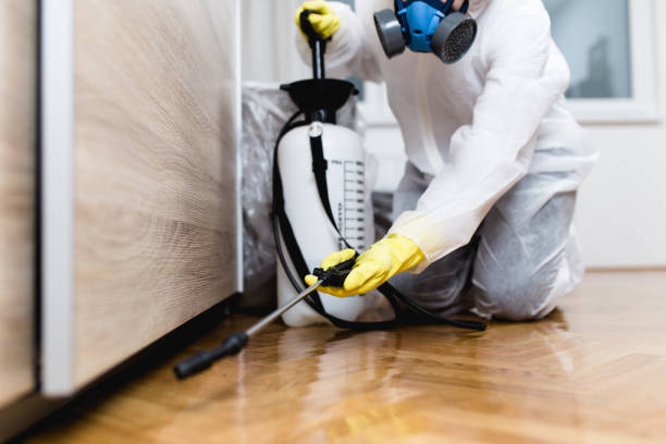 Best Cockroach Control Services  in Coushatta, LA