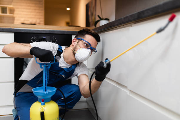 Best Local Pest Control Services  in Coushatta, LA