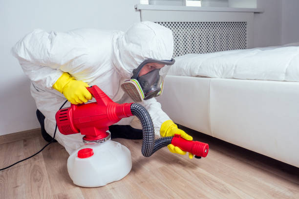 Wasp Removal Services in Coushatta, LA