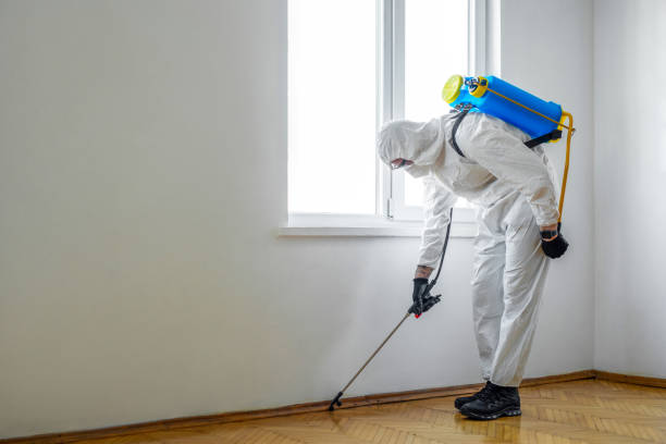 Best Best Pest Control Near Me  in Coushatta, LA