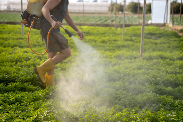 Best Mosquito Control Services  in Coushatta, LA