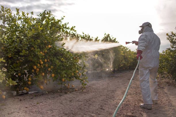 Best Commercial Pest Control Services  in Coushatta, LA