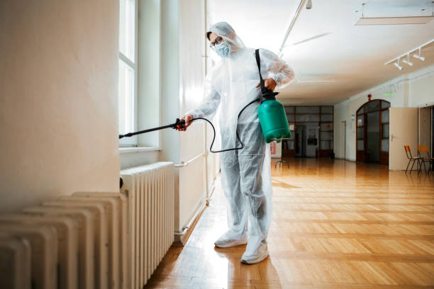 Professional Pest Control in Coushatta, LA