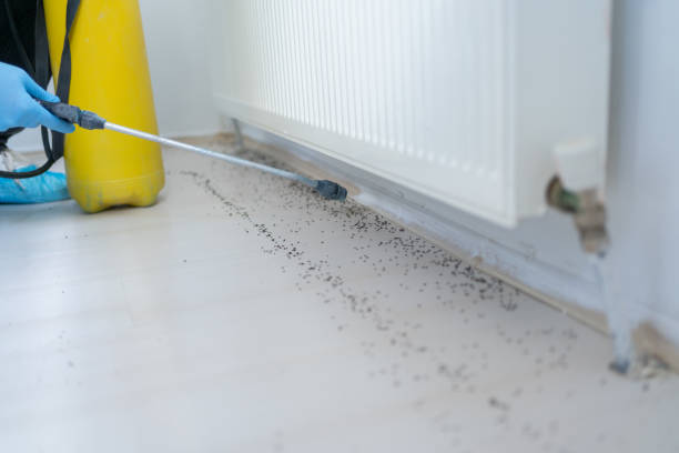 Pest Control Cost in Coushatta, LA