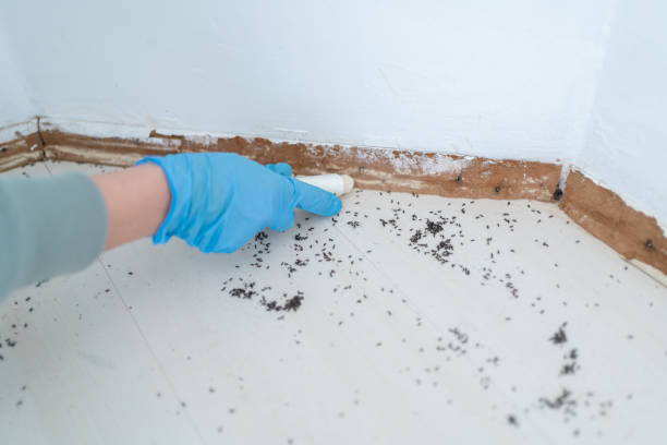 Best Exterminator Services  in Coushatta, LA