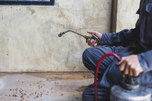 Best Pest Inspection Near Me  in Coushatta, LA