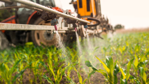 Best Insect Control  in Coushatta, LA