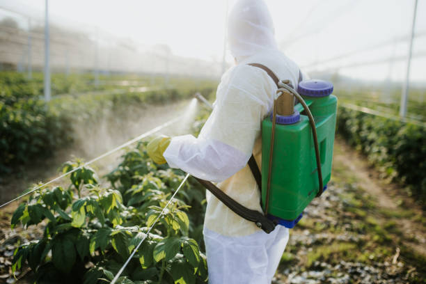 Best Ant Control Services  in Coushatta, LA